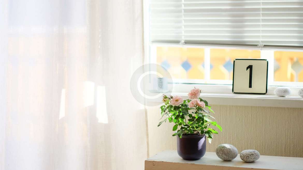 Profesjonalne doradztwo