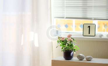 Profesjonalne doradztwo